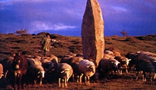Ruta menhires